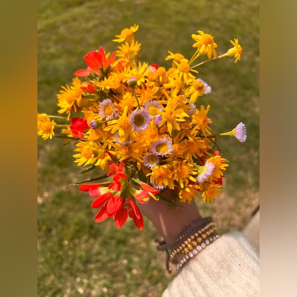 Krystal Vasey - Picture 3 of 4